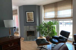 Skopje city center apartment